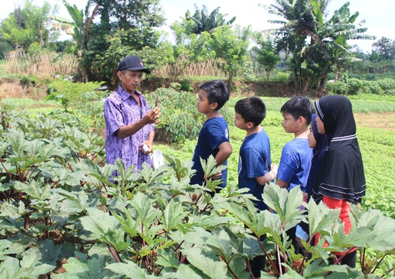 Satu Hari Bersama Masyarakat Petani di Perkebunan Sayur