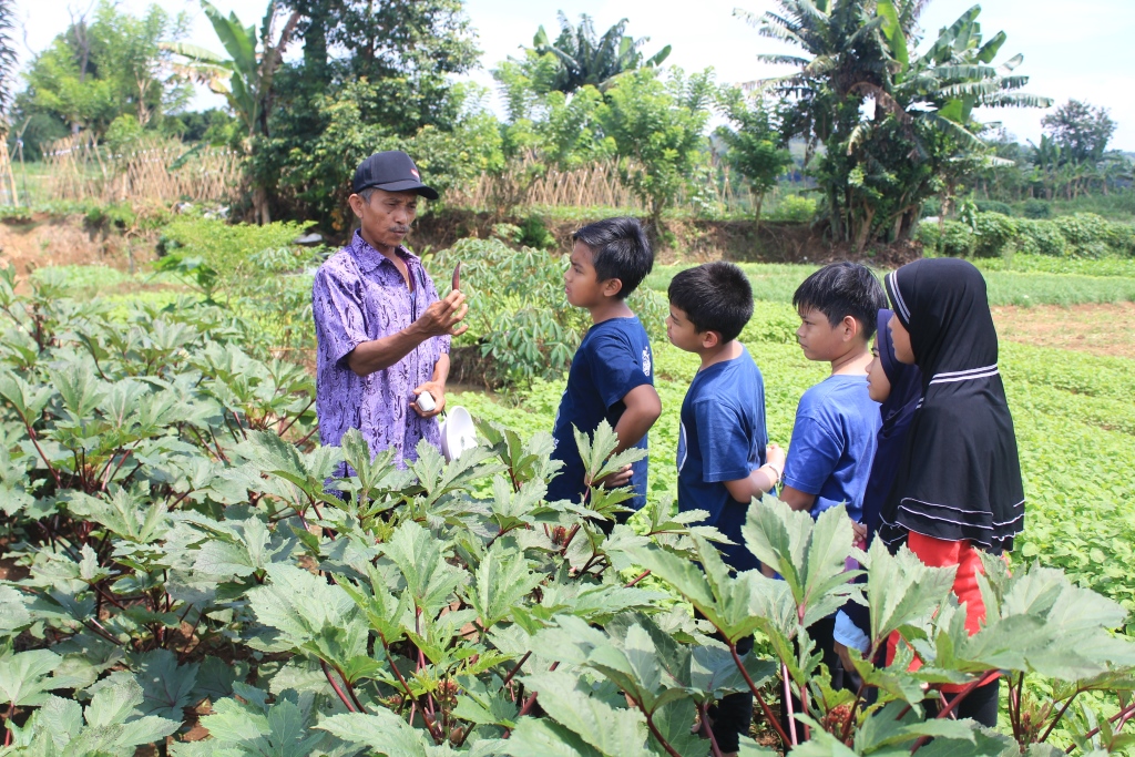 Satu Hari Bersama Masyarakat Petani di Perkebunan Sayur